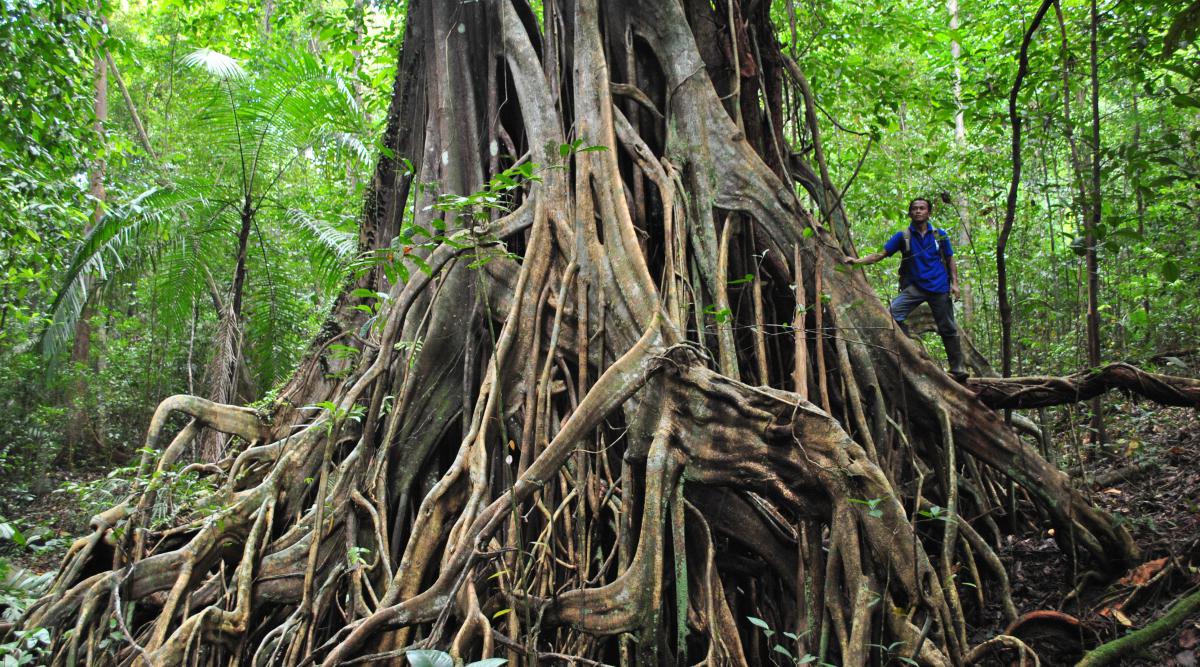 belitung destination foto 2