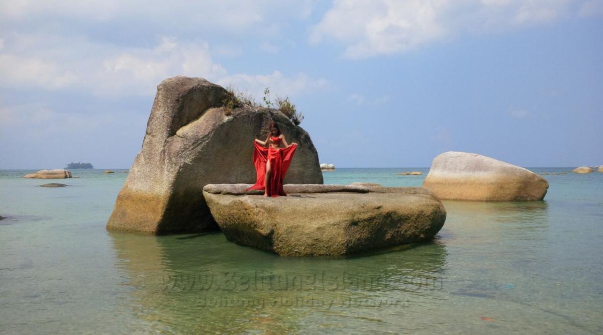جدول اليوم #2 - الوجهة Pulau Burung| Burung Island|鸟岛|جزيرة الطيور