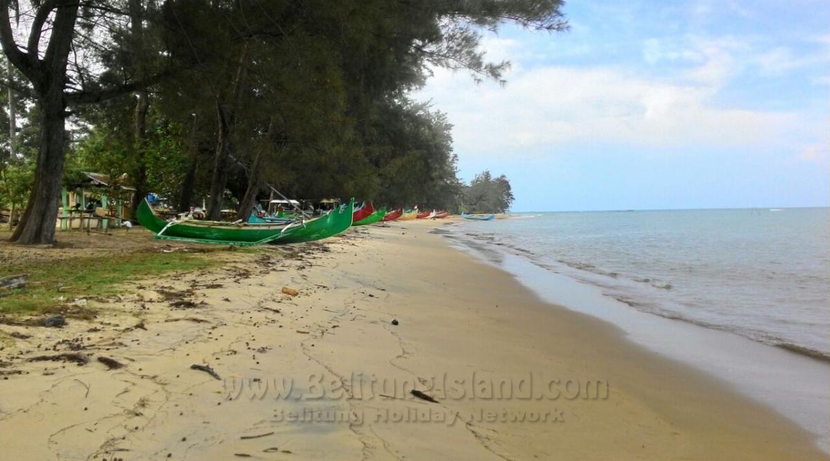 belitung destination Burung Mandi