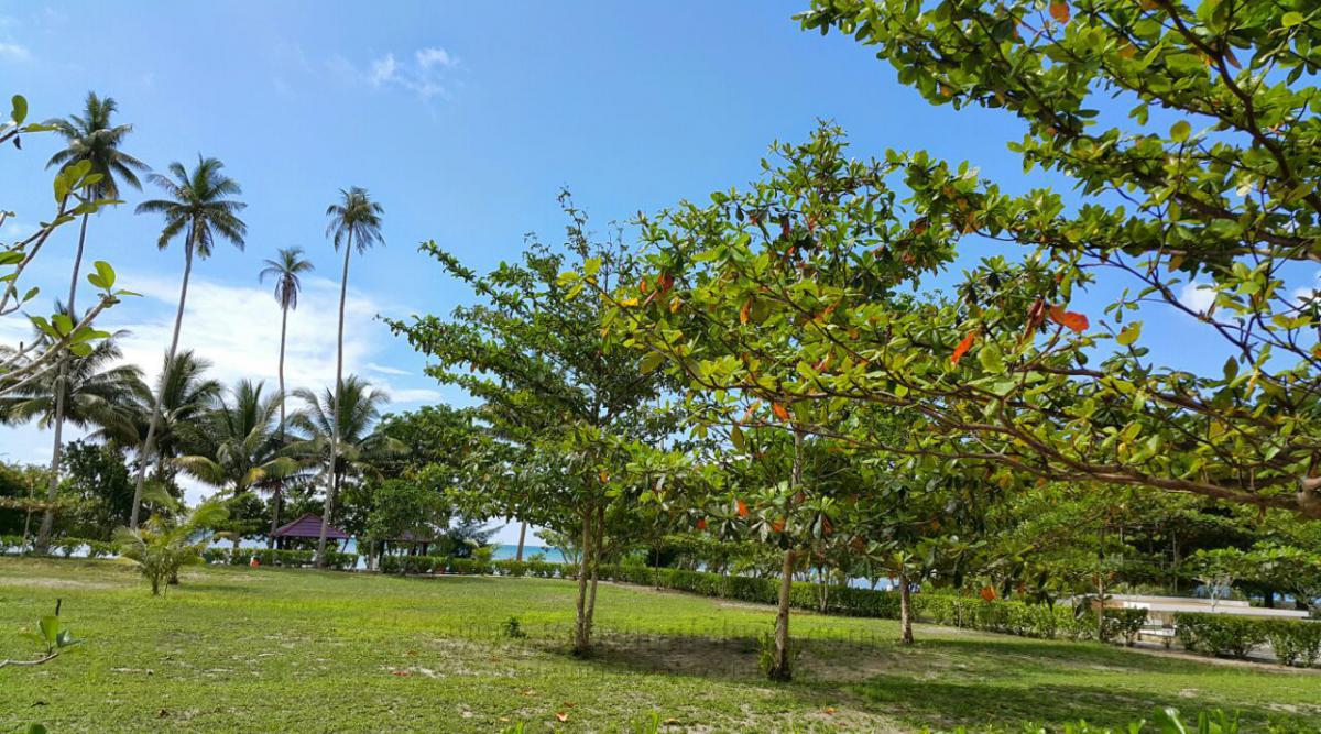 image belitung #3