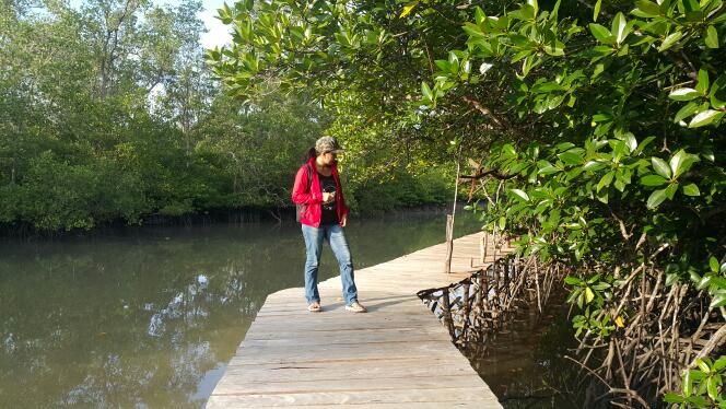 belitung destination foto 3