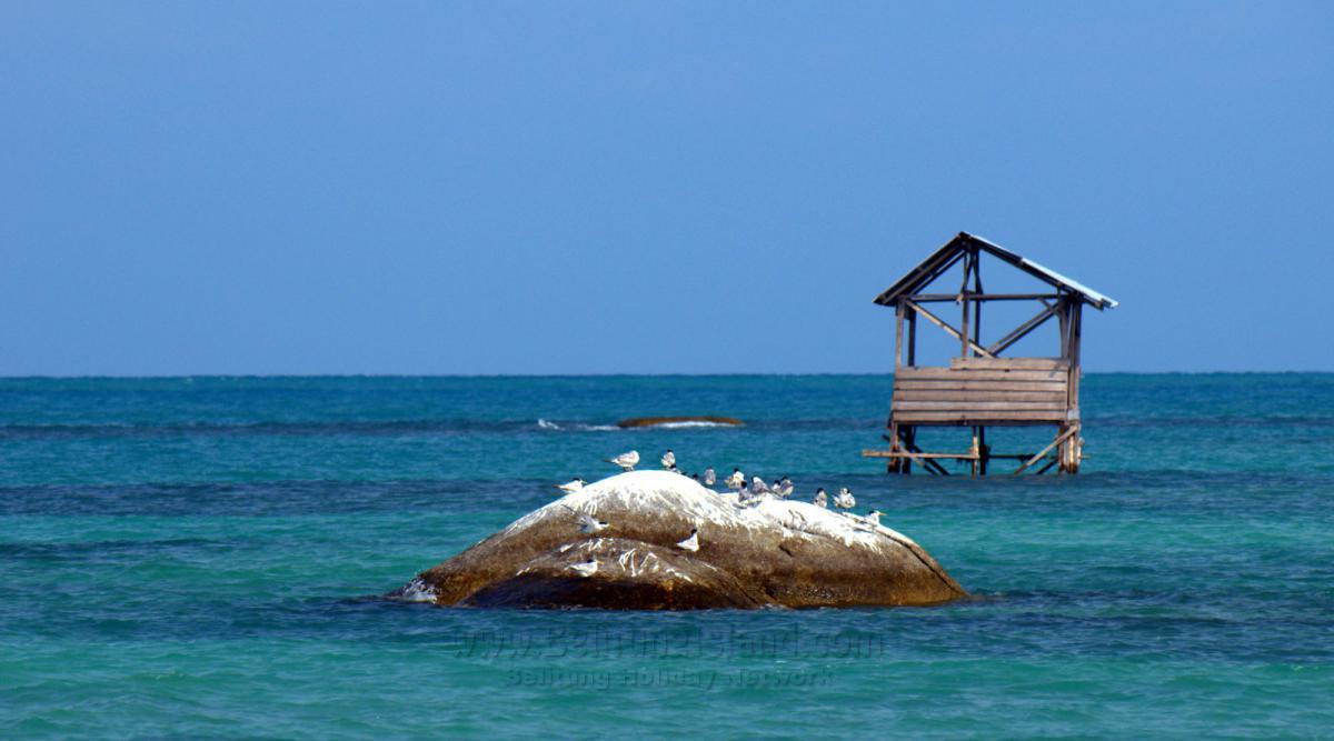 جدول اليوم رقم 1 - الوجهات #2