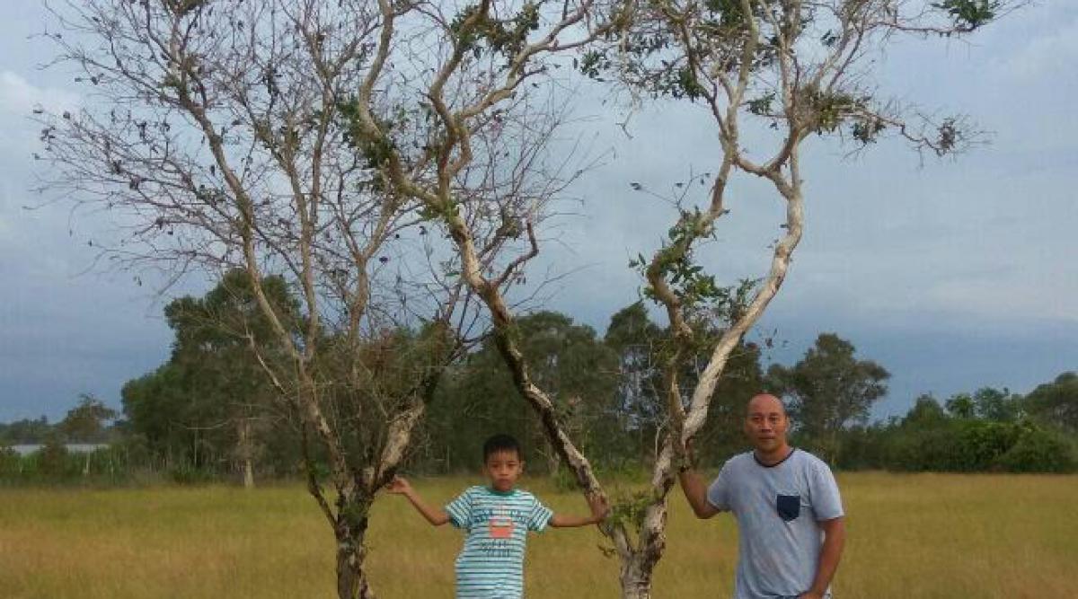 belitung destination foto 1