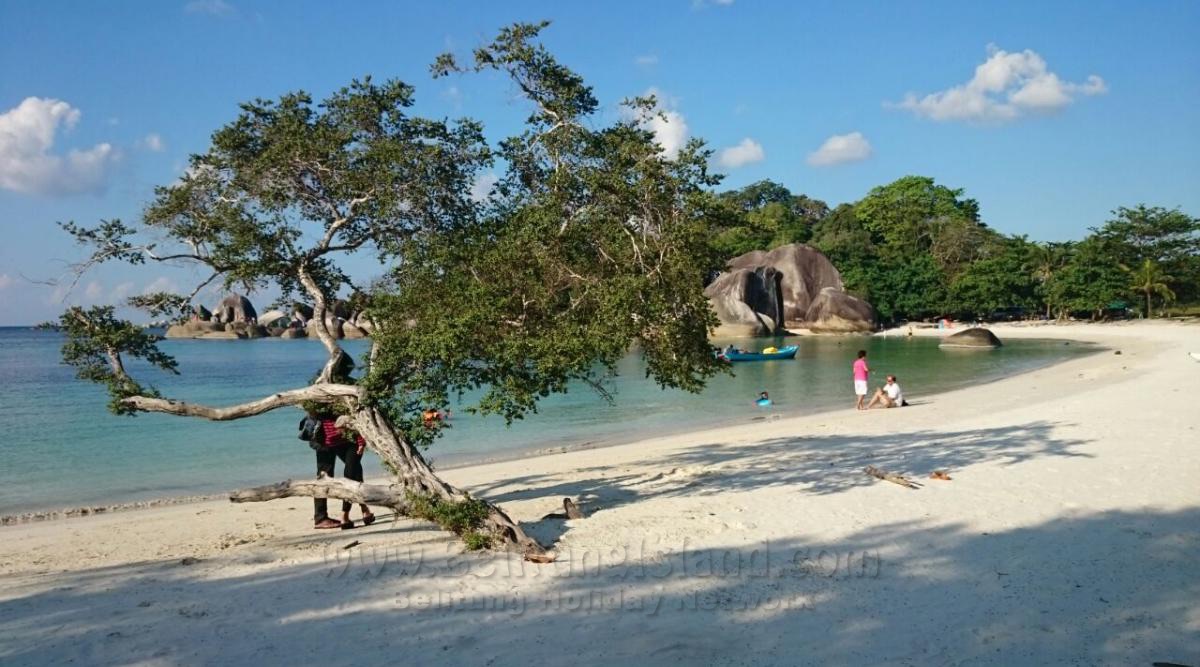 日程 #1 - 目的地 Tanjung Tinggi| Tanjung Tinggi|丹戎丁宜|تانجونج تينجي