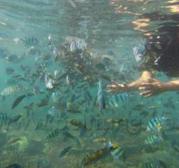 layanan wisata