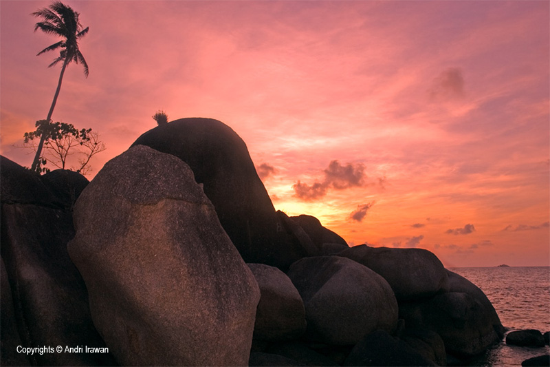 Fotografer:  Andri Irawan 11