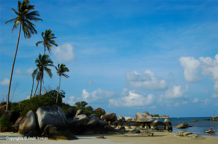 Fotografer:  Andri Irawan 12