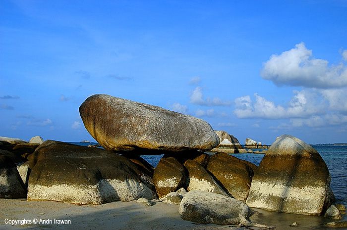 Fotografer:  Andri Irawan 8