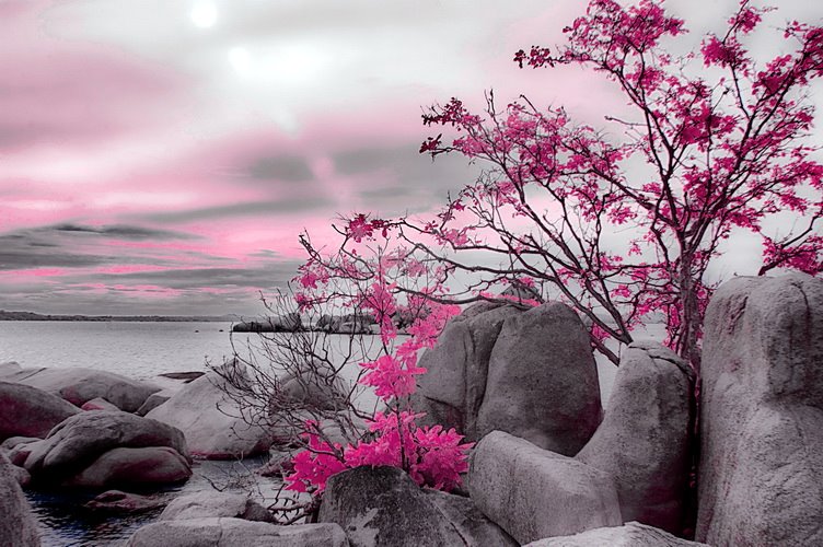Fotografer:  Herman Sapta Aji 11