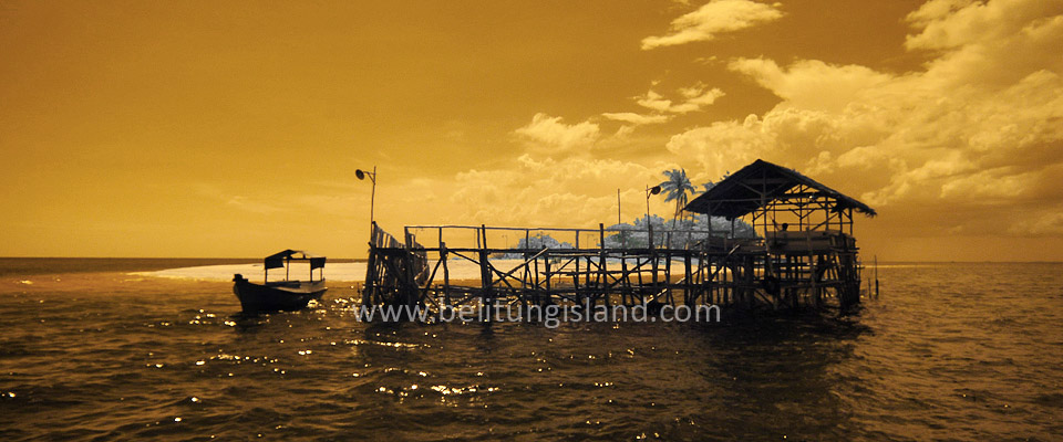 Fotografer:  Irfan A. Tachrir 42