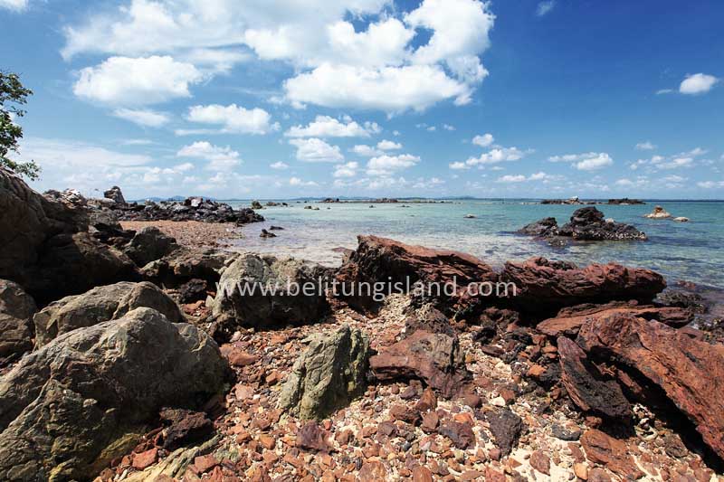Fotografer:  Irfan A. Tachrir 47