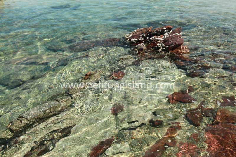 Fotografer:  Irfan A. Tachrir 6