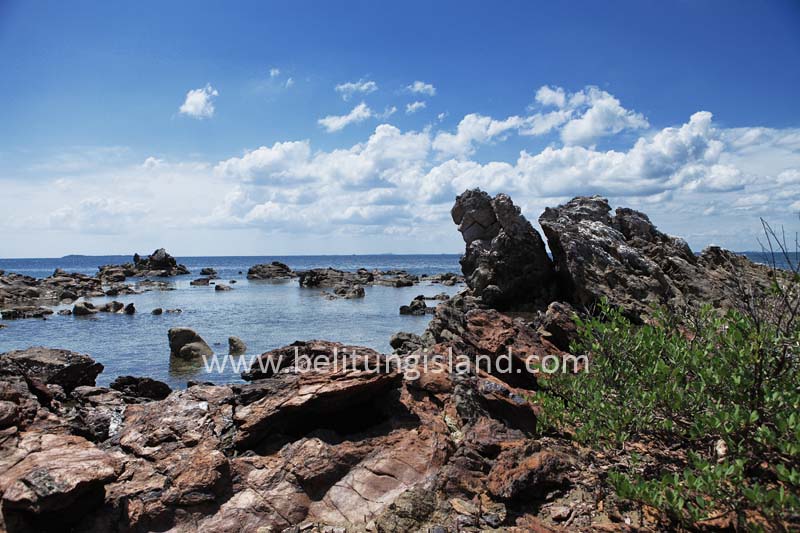 Fotografer:  Irfan A. Tachrir 46