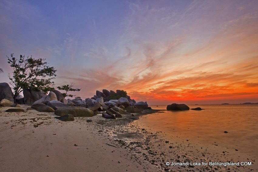 Fotografer:  Jomandi Loka 29