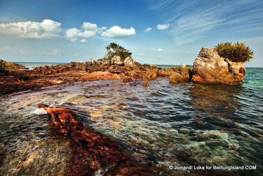 Fotografer:  Jomandi Loka 15