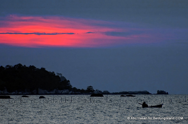 Fotografer:  Abu Hasan 15