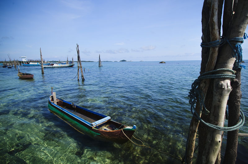 Fotografer:  Lindung Soemarhadi 11