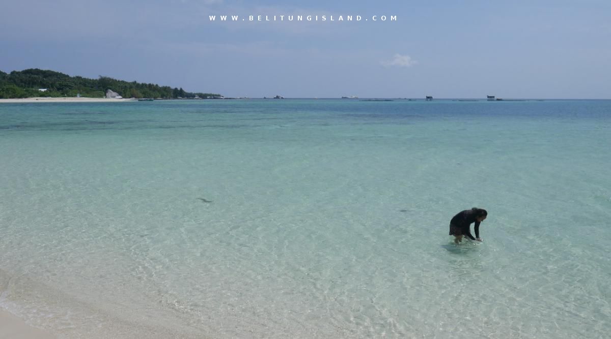 belitung image